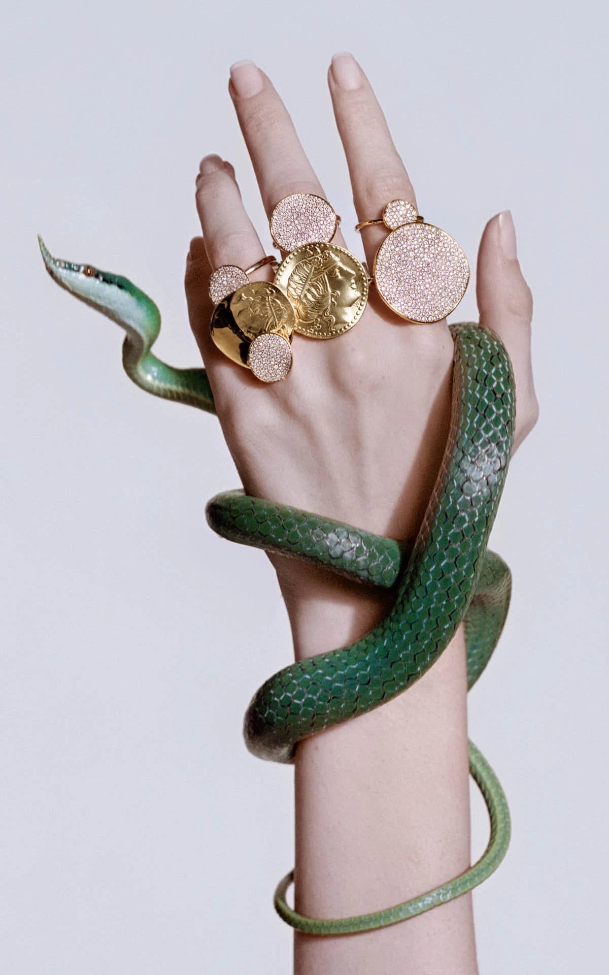 A hand with multiple gold and rose gold coin-style rings wrapped in a green snake, posed against a light gray background.